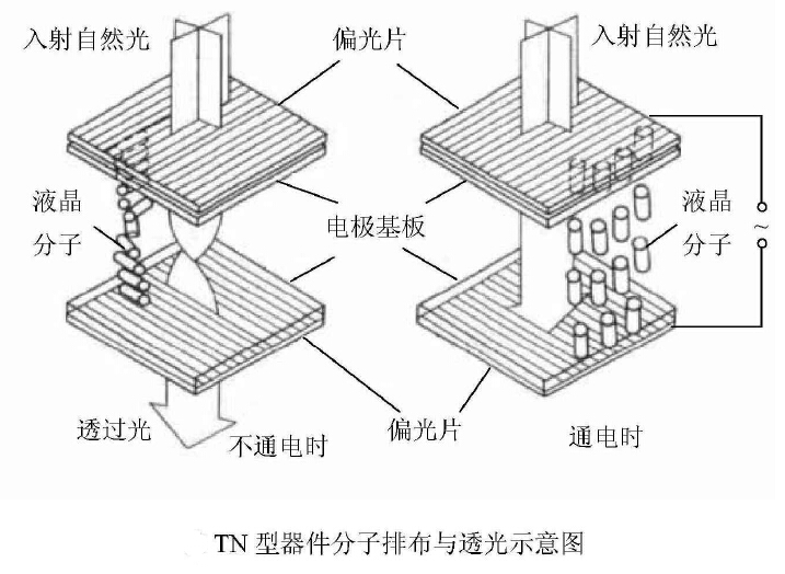 TN型液晶显示器件显示原理图
