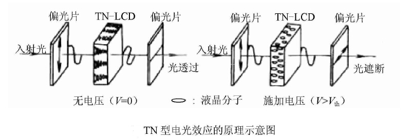 tn型电光效应原理图